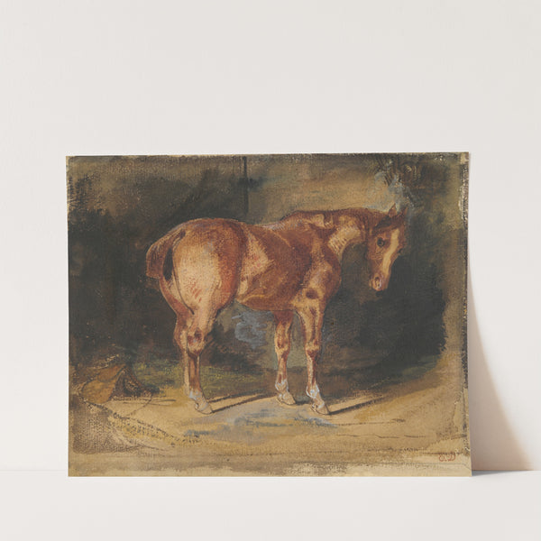 Study of a Horse by Eugène Delacroix