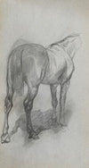 Study of a Horse 6 (1860s)