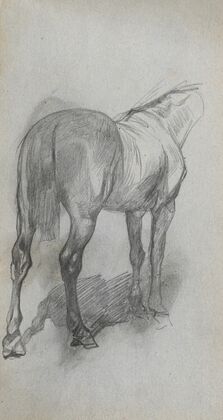 Study of a Horse 6 (1860s)