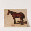 Study of a Horse by Maksymilian Gierymski