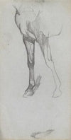 Study of a Horse. (1860s)