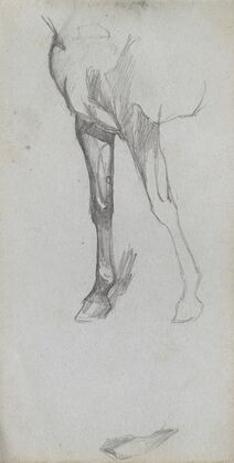 Study of a Horse. (1860s)