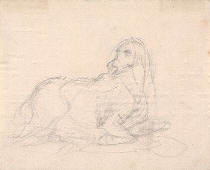 Study of a horse lying down