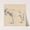 Study of a Horse with Long Mane II. by Friedrich Carl von Scheidlin