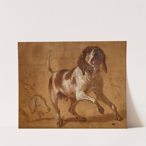 Study of a Hound Baying by Jean-Baptiste Oudry