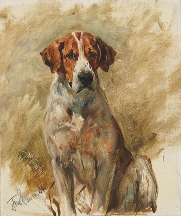 Study of a Hound