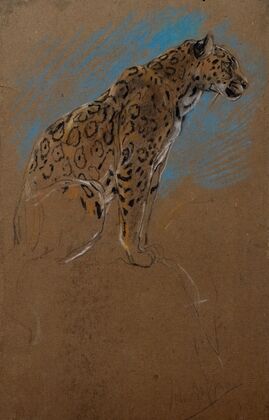 Study of a Jaguar