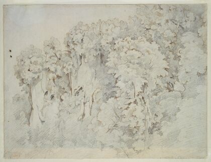 Study of a landscape near Cività Castellana