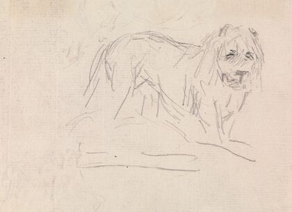 Study of a Lion.