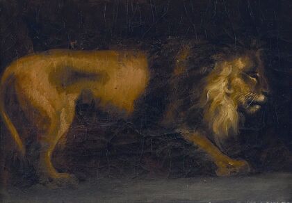 Study of a Lion