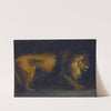 Study of a Lion by Théodore Géricault