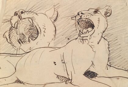 Study of a Lioness
