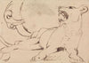 Study of a Lioness