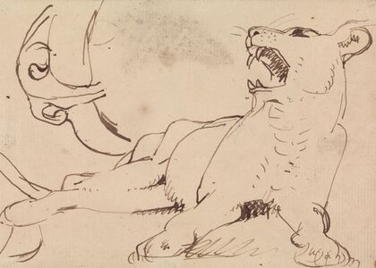 Study of a Lioness