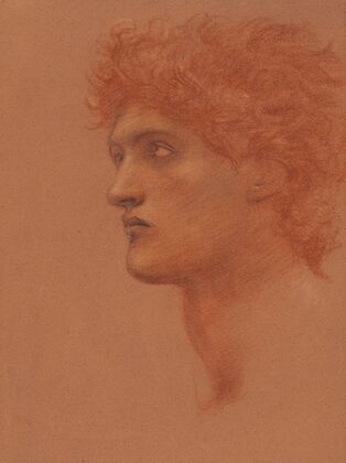 Study of a male head in profile, for Perseus in The Call of Perseus