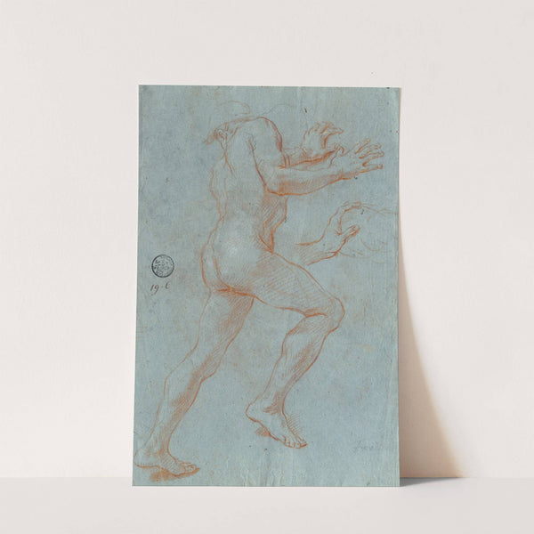 Study of a Male Nude by Giovanni Antonio Grecolini