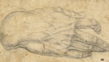 Study of a man’s right hand