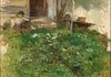 Study of a Meadow in Spital am Phyrn