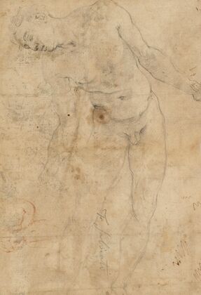 Study of a nude male youth, and a small study of a putto — size preview