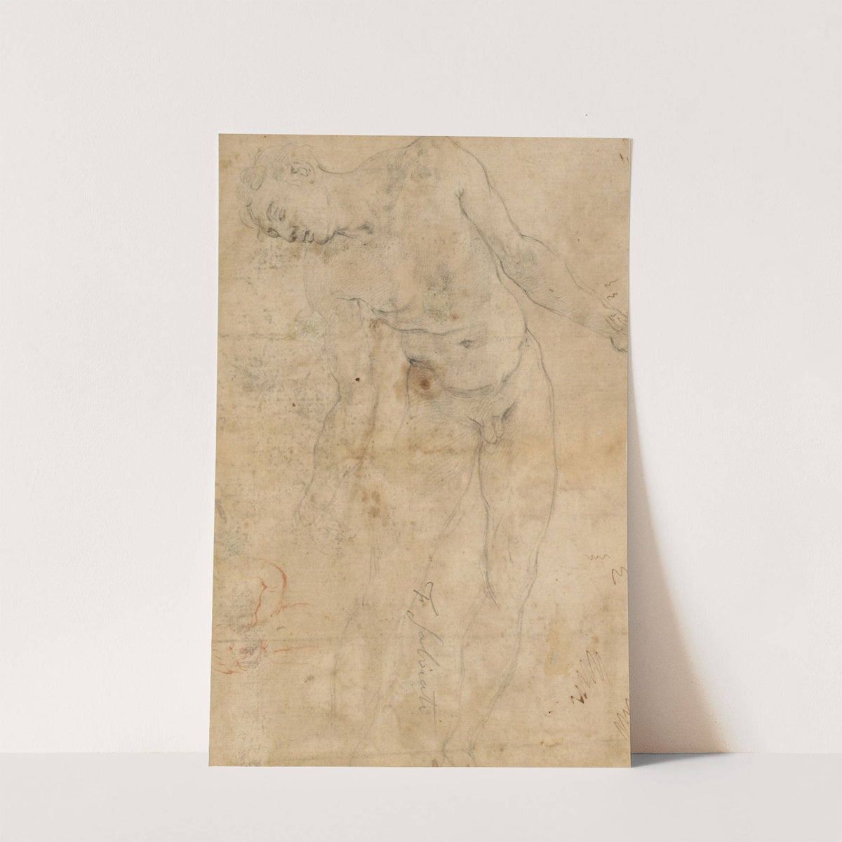 Study of a nude male youth, and a small study of a putto by Prospero Fontana