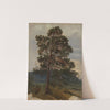 Study of a Pine Tree (1844) by Adolph Tidemand