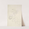 Study of a Plant by George Richmond