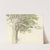 Study of a Pollarded Tree - a Willow by Edward Duncan