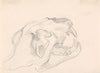 Study of a Skull