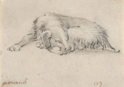 Study of a Sleeping Dog