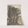 Study of a Stump with Aerial Roots by Woldemar Friedrich