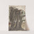 Study of a Stump with Aerial Roots by Woldemar Friedrich