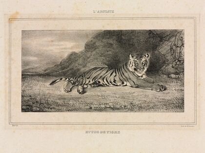 Study of a Tiger (1832)