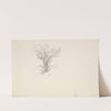 Study of a Tree by Truman Seymour