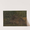 Study of a Tree Stump by Vilhelm Petersen