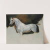 Study of a white horse by Horace Vernet