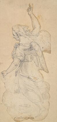 Study of an Angel