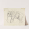 Study of an Elephant by Sawrey Gilpin
