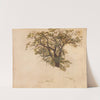 Study of an Oak (1830) by Adolph Tidemand