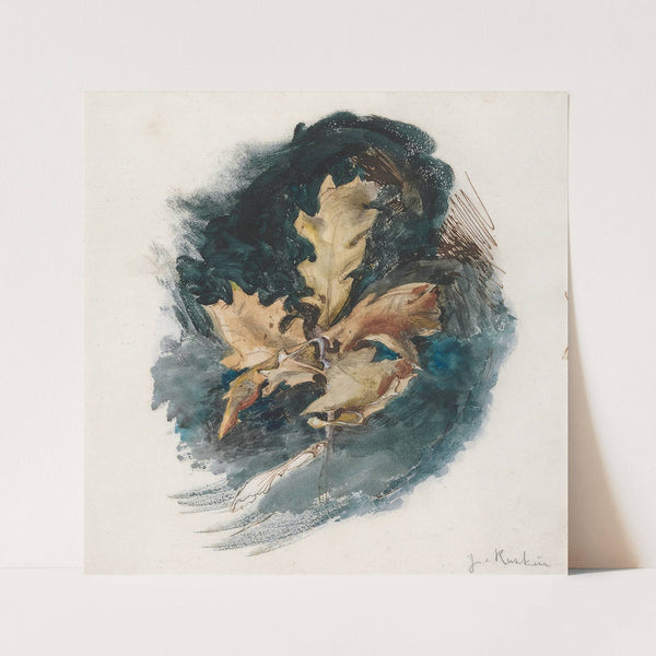 Study of an Oak Leaf by John Ruskin