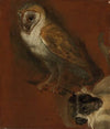 Study of an owl, with a fragmentary study of a monkey