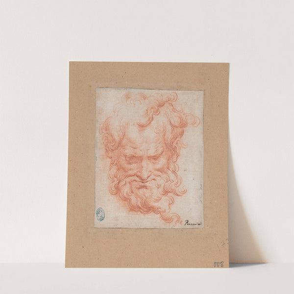 Study of Bearded Man by Camillo Procaccini