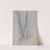 Study of Birch Trunks (Scribners&#039;) by Jervis McEntee