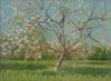 Study of Blooming Trees in an Orchard (1900–1910)
