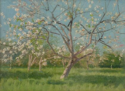 Study of Blooming Trees in an Orchard (1900–1910)
