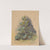 Study of Broadleaved Plant by Friedrich Carl von Scheidlin