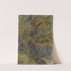 Study of Broadleaved Tree. Motif from Svätý Jur by Friedrich Carl von Scheidlin