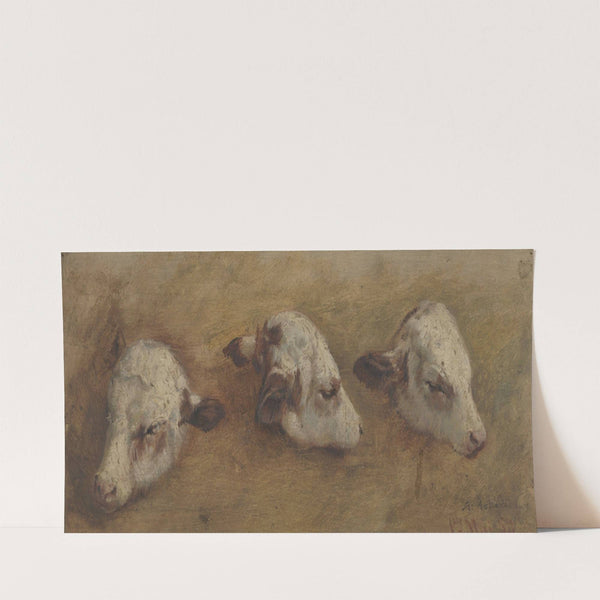 Study of Calfheads (1858) by Anders Askevold