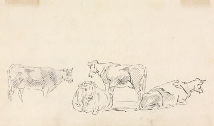 Study of Cattle.
