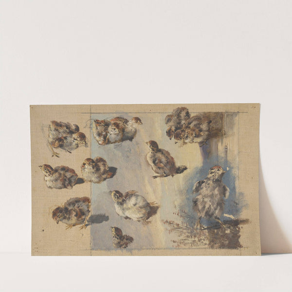 Study of Chicks (1840) by Friedrich Carl von Scheidlin
