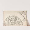 Study of Classical Ornament and Detail by Thomas Hardwick